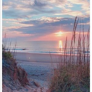 Meet your Posher, Cyla